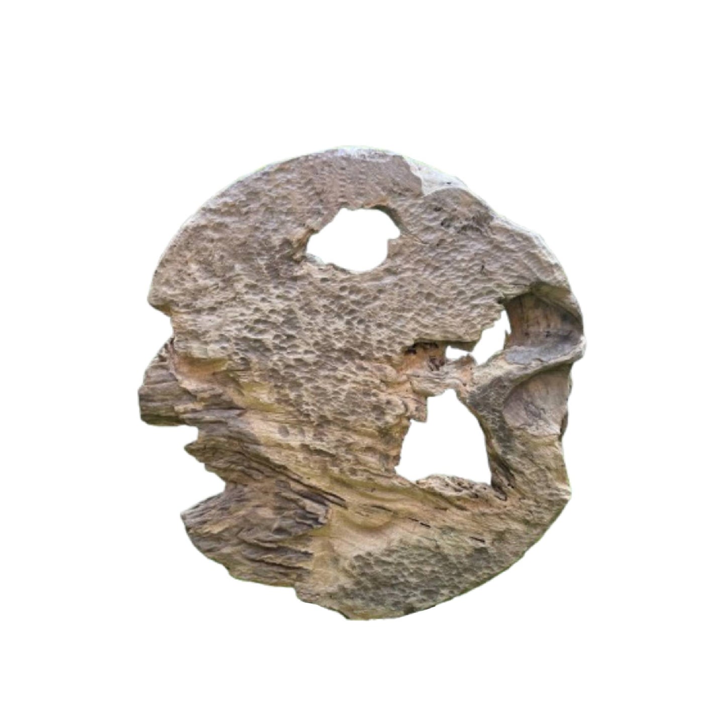 Roch Wandpaneel Holes Natur Rund
