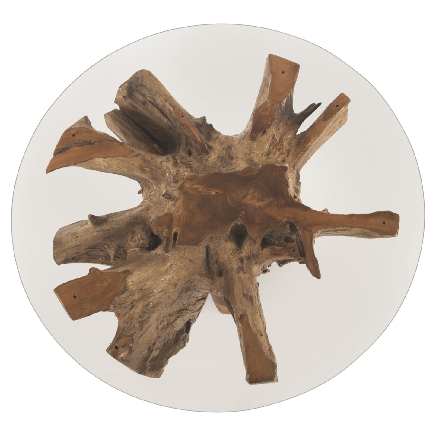 Root coffee table