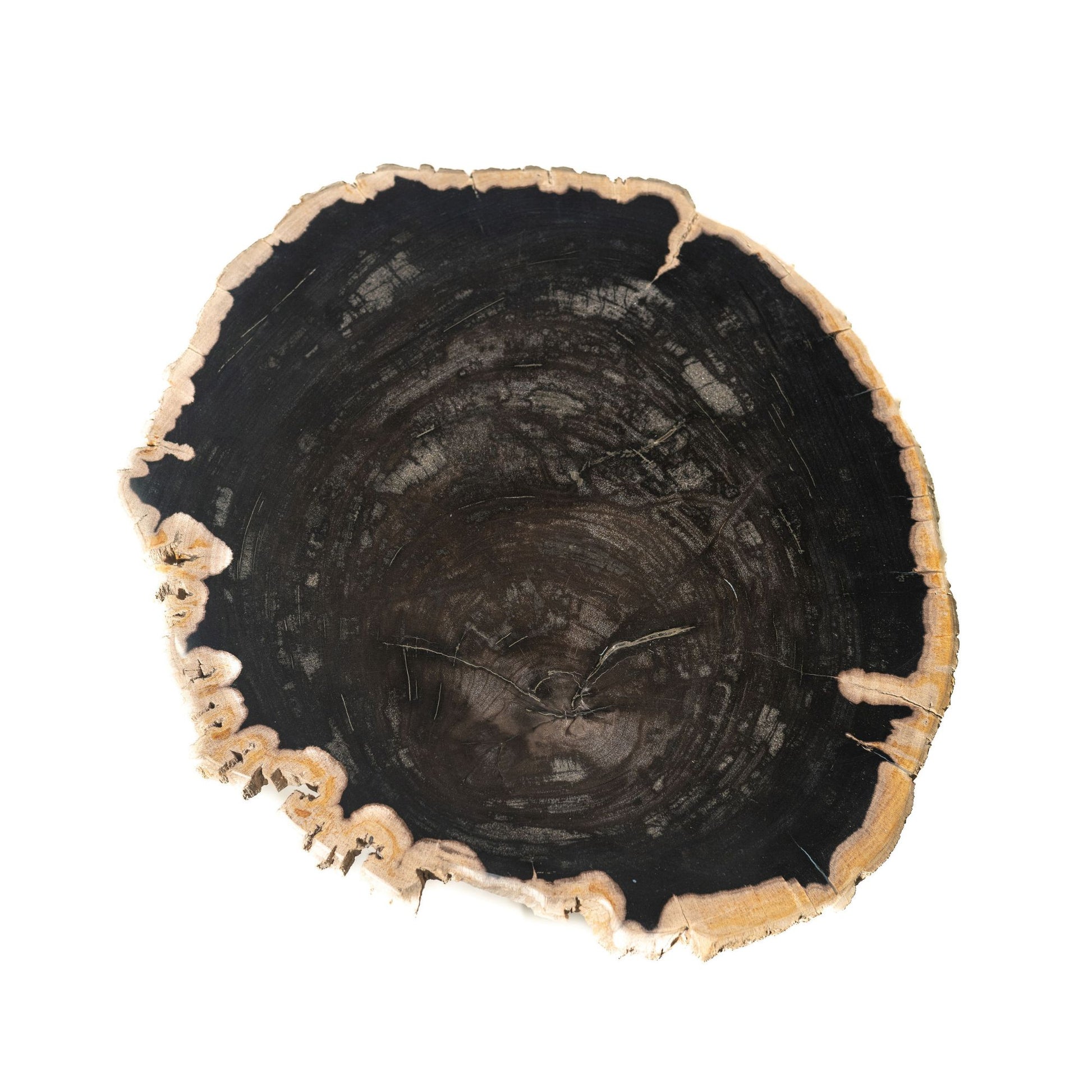 Jisse Beistelltisch Versteinertes Holz Schwarz