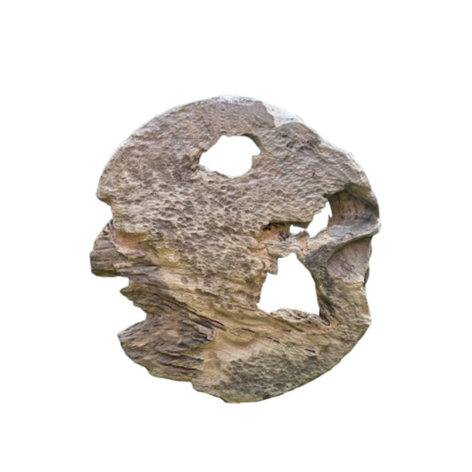 Roch Wandpaneel Holes Natur Rund